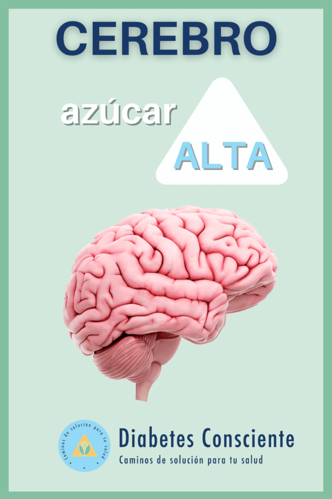 🍭 el azúcar alta y el cerebro, 😮 una bomba de tiempo! - -